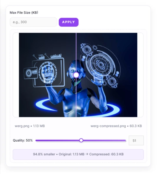 TheSoftCo Image Compressor Right Panel