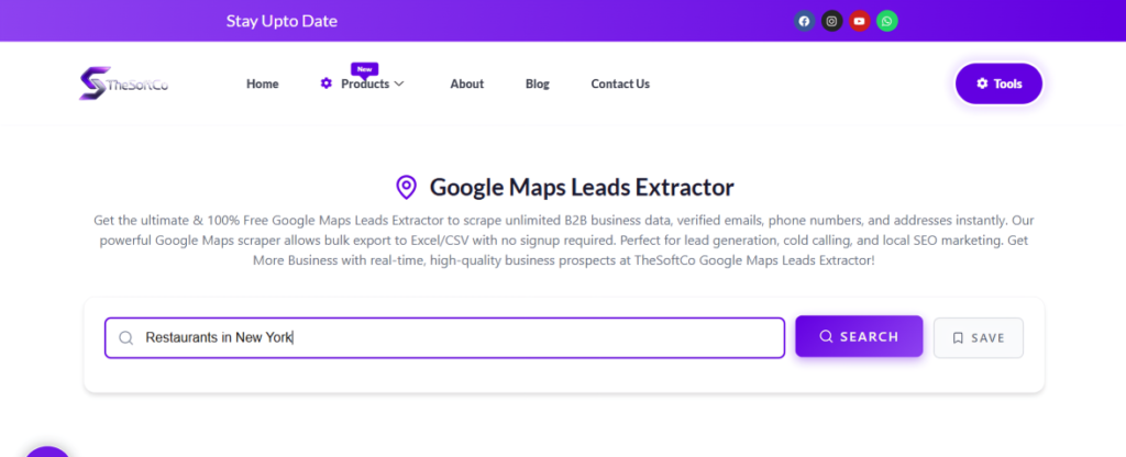 clean web page showing the query search of TheSoftCo Leads Extractor
