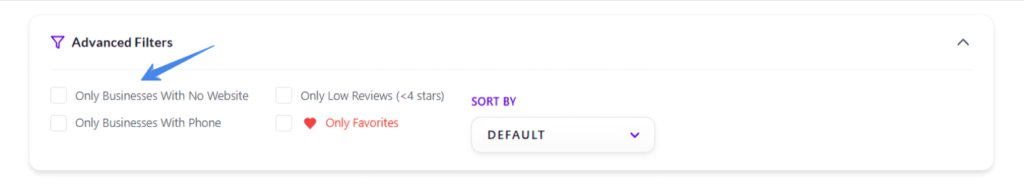 shwoing the advanced filters section of TheSoftCo Leads Extractor